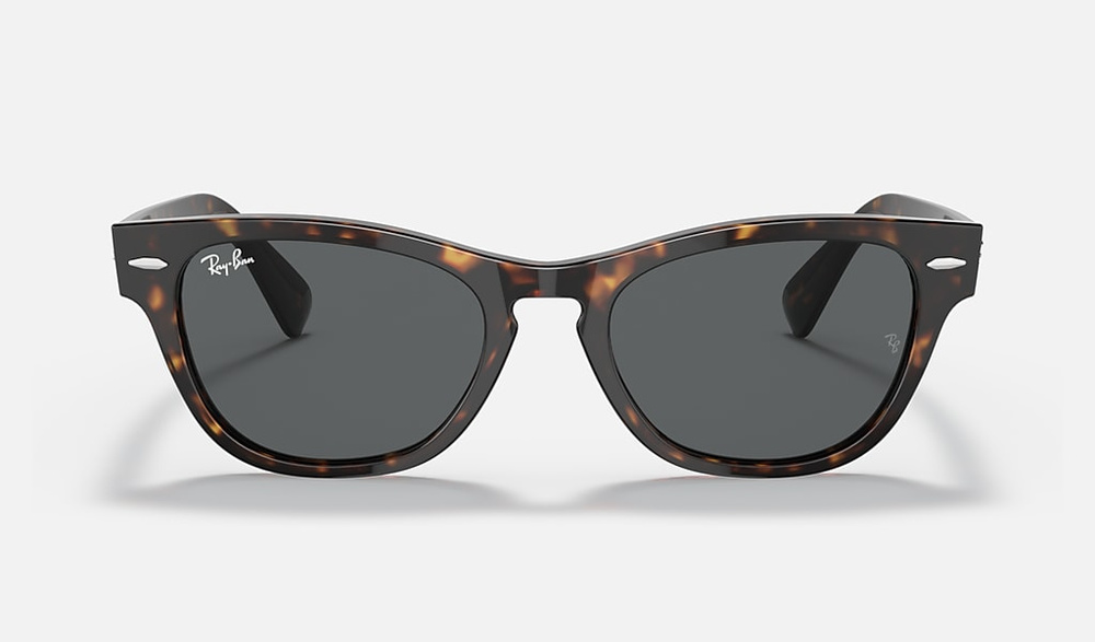 Ray-Ban Sunglasses LARAMIE RB2201-902/B1