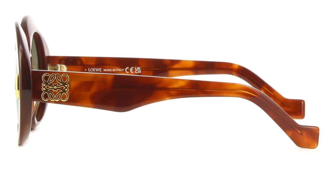 Loewe Sunglasses LW40146I-53N