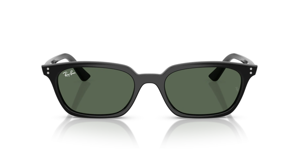Ray-Ban Sunglasses ZAYA RB4456-667771