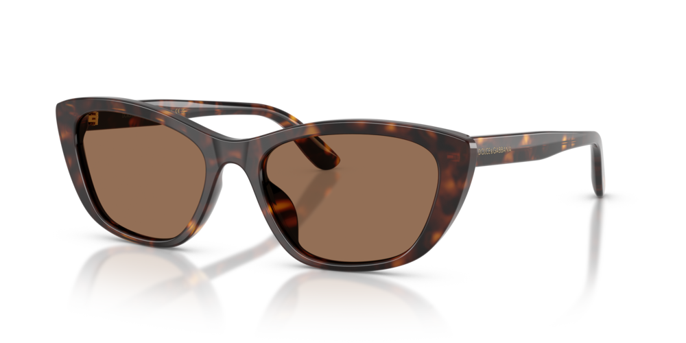 DOLCE & GABBANA Sunglasses DG4571-502/73