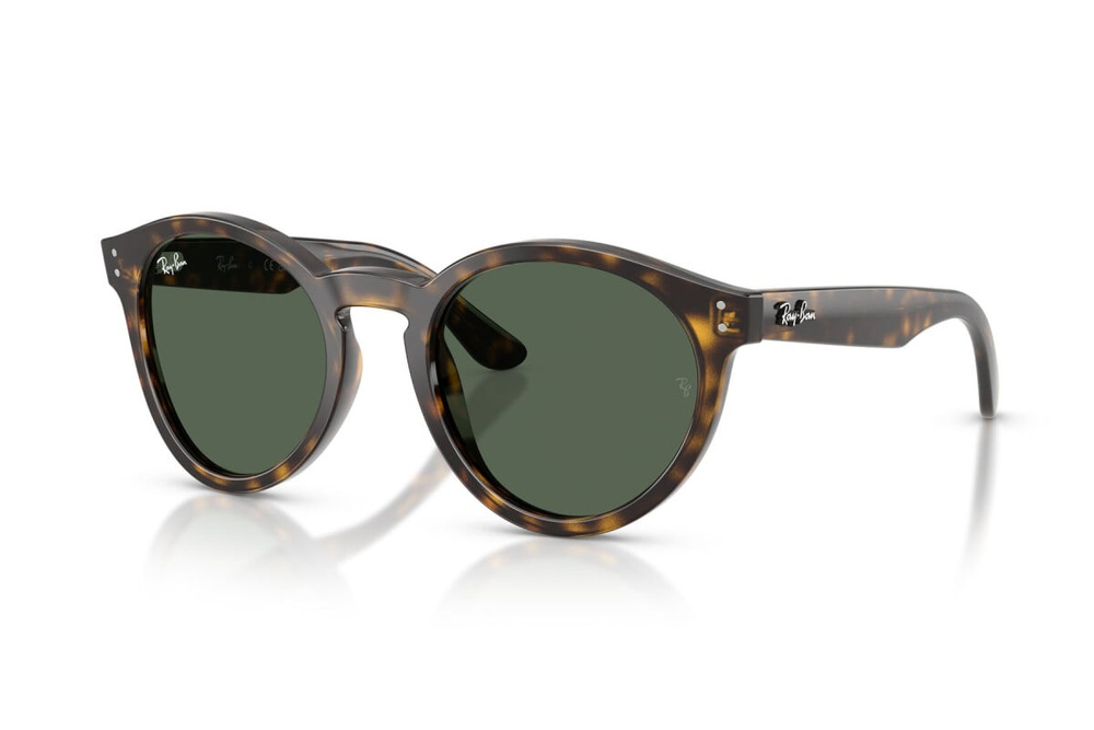 Ray-Ban Okulary przeciwsłoneczne RBR0505S-6790VR