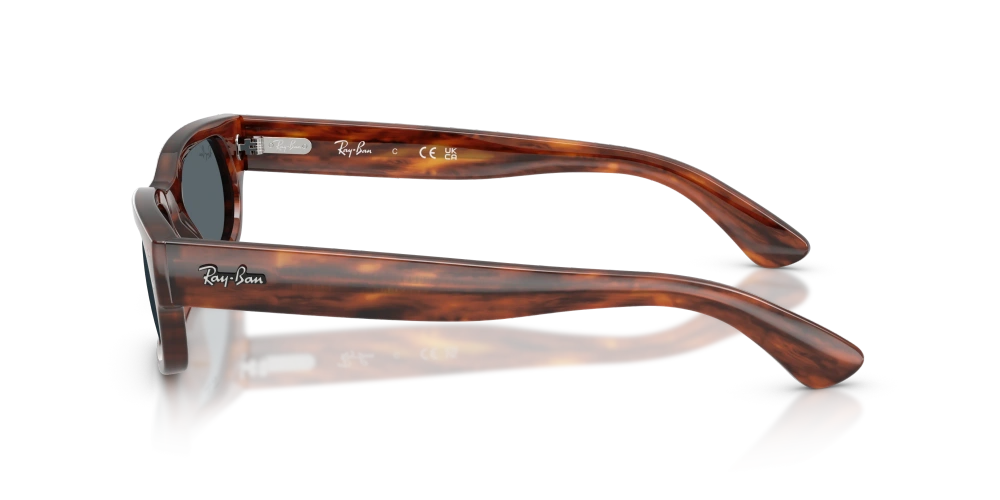 Ray-Ban Sunglasses RB2236-954/R5
