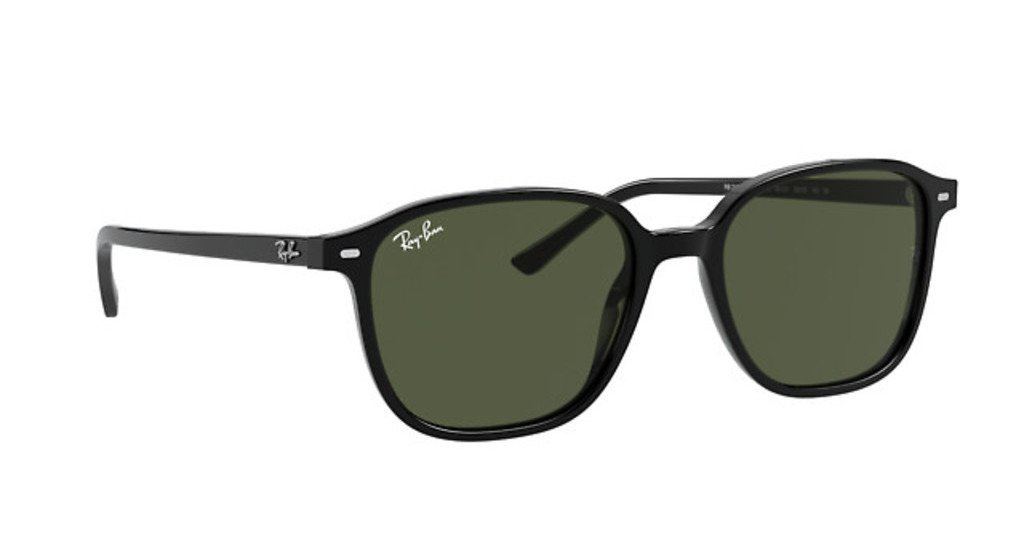 Ray-Ban Sunglasses LEONARD RB2193-901/31