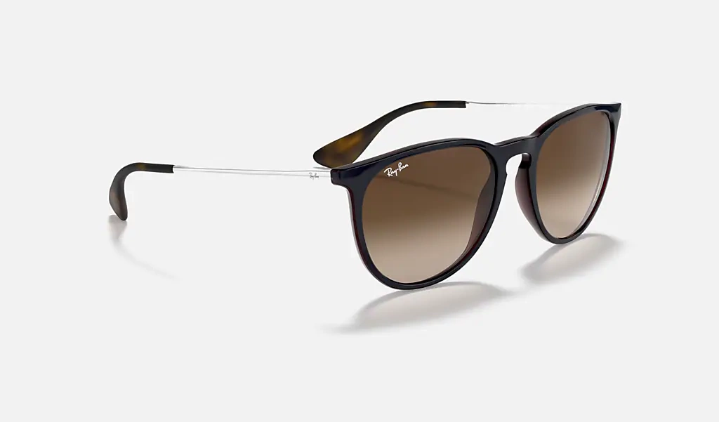 Ray-Ban Sunglasses RB4171-631513