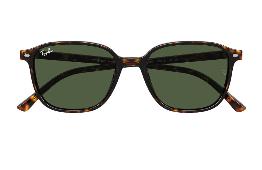 Ray-Ban Okulary przeciwsłoneczne LEONARD RB2193-902/31