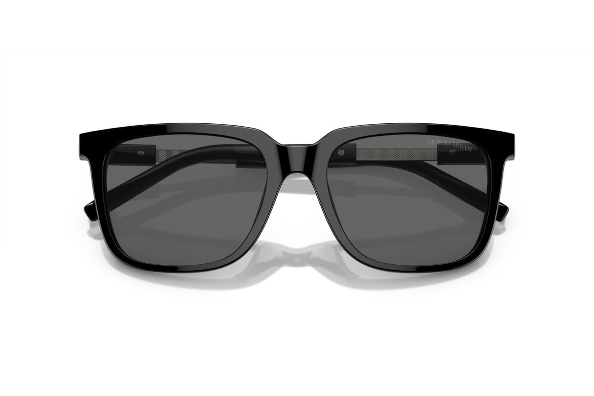 Giorgio Armani Sunglasses AR8202U-587587