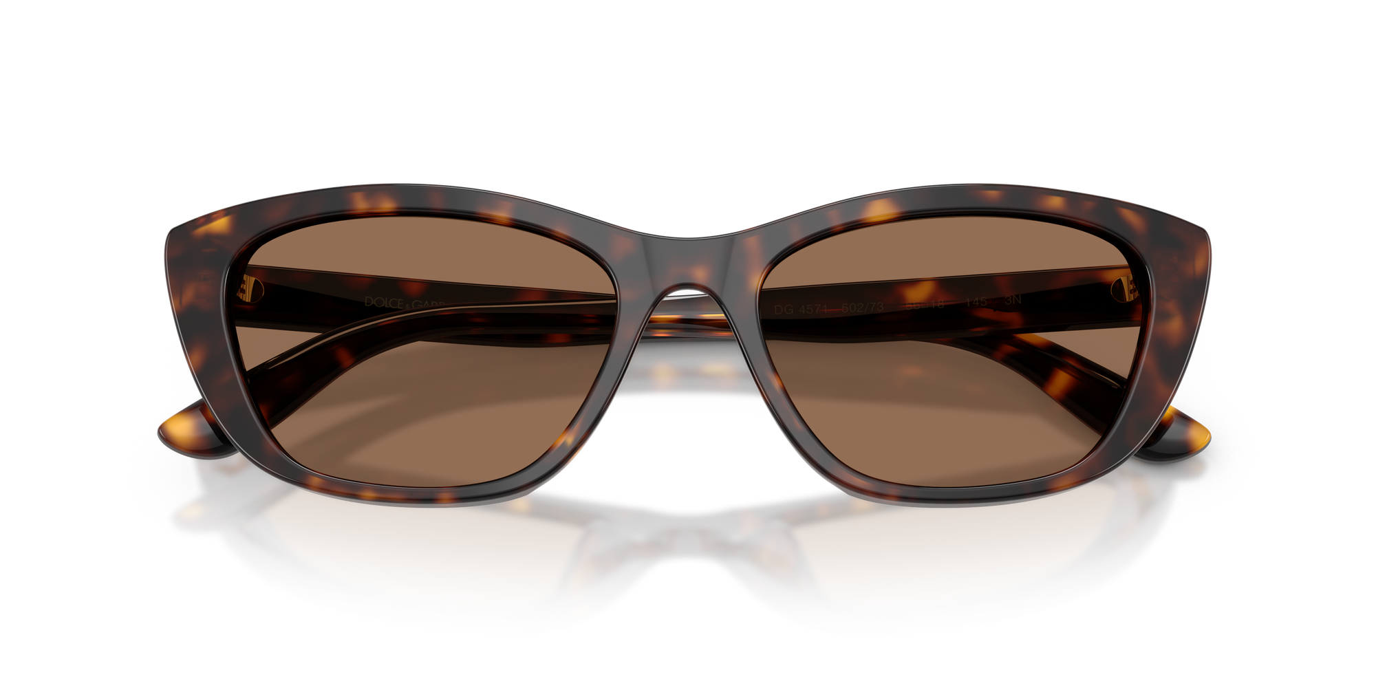 DOLCE & GABBANA Sunglasses DG4571-502/73
