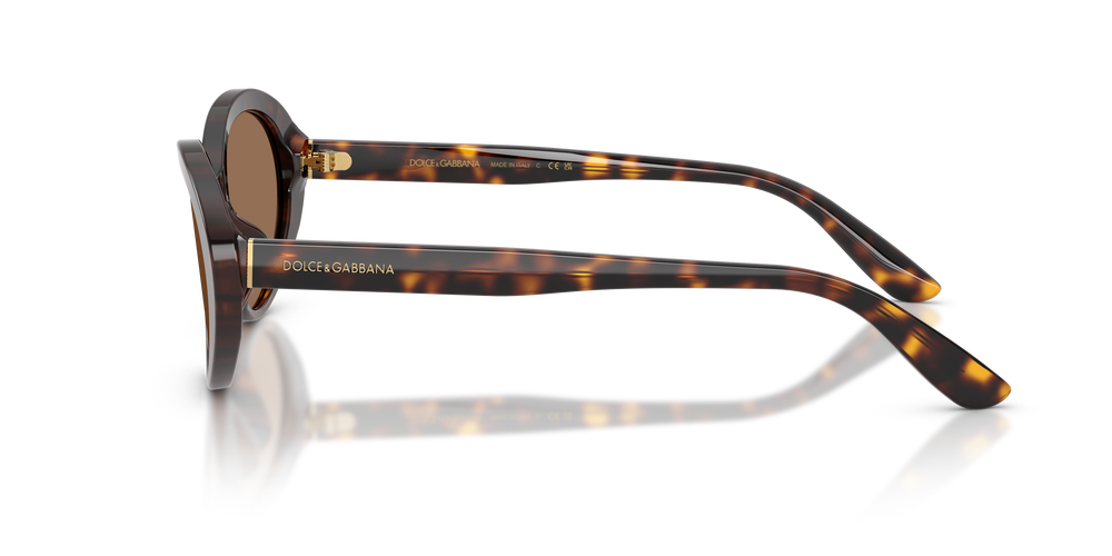 DOLCE & GABBANA Sunglasses DG4570-502/73