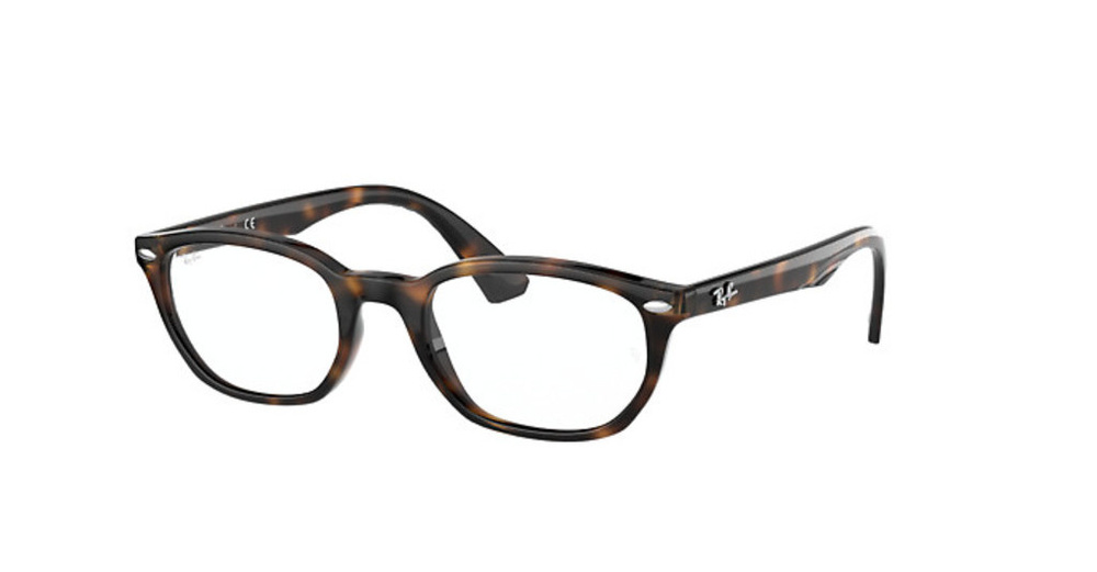 Ray-Ban Optical Frame Junior RB1599-3685
