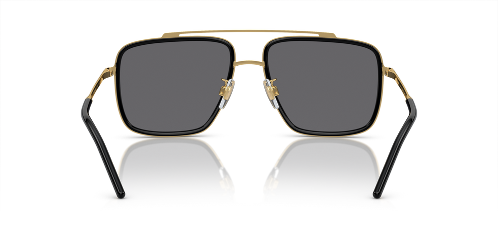 Dolce & Gabbana Sunglasses DG2220-02/81