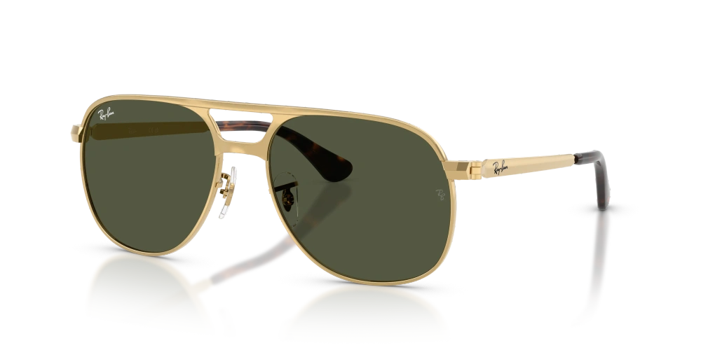 Ray-Ban Sunglasses BILL MAX RB3793-001/31