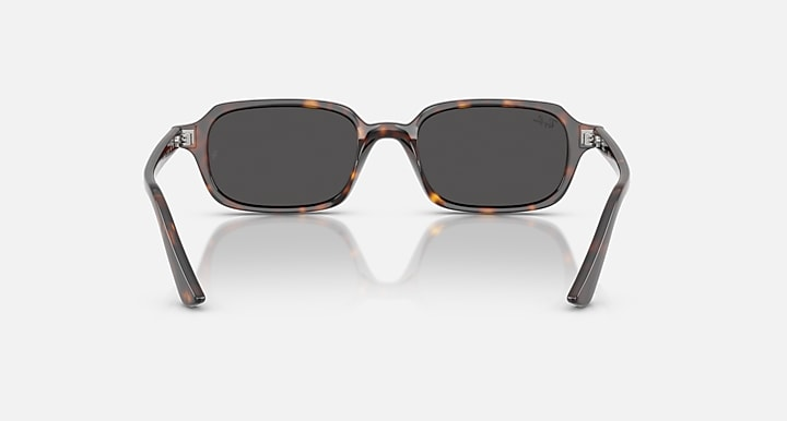 Ray-Ban Sunglasses ZURI RB4455-135987