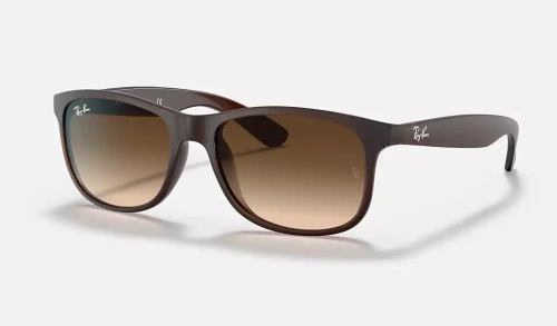 Ray-Ban Sunglasses  RB4202-607313