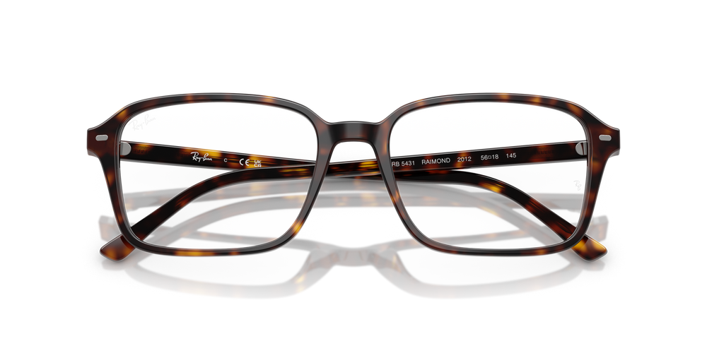 Ray-Ban Okulary korekcyjne RAIMOND RB5431-2012