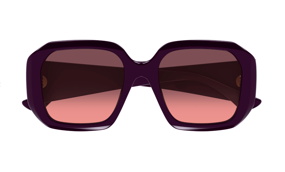 Chloe Sunglasses CH0300S-004