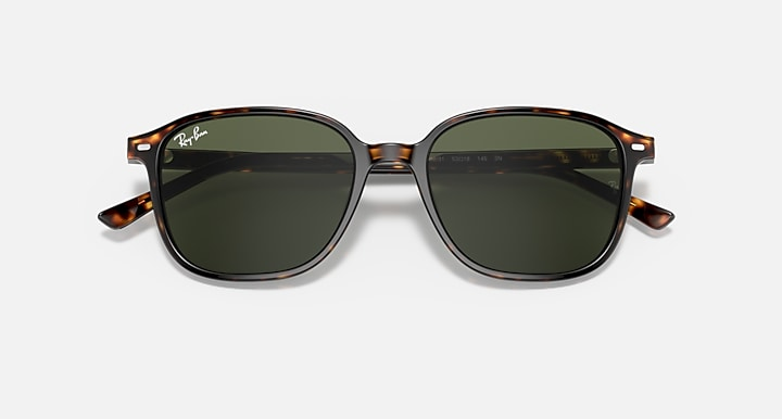 Ray-Ban Sunglasses LEONARD RB2193-902/31