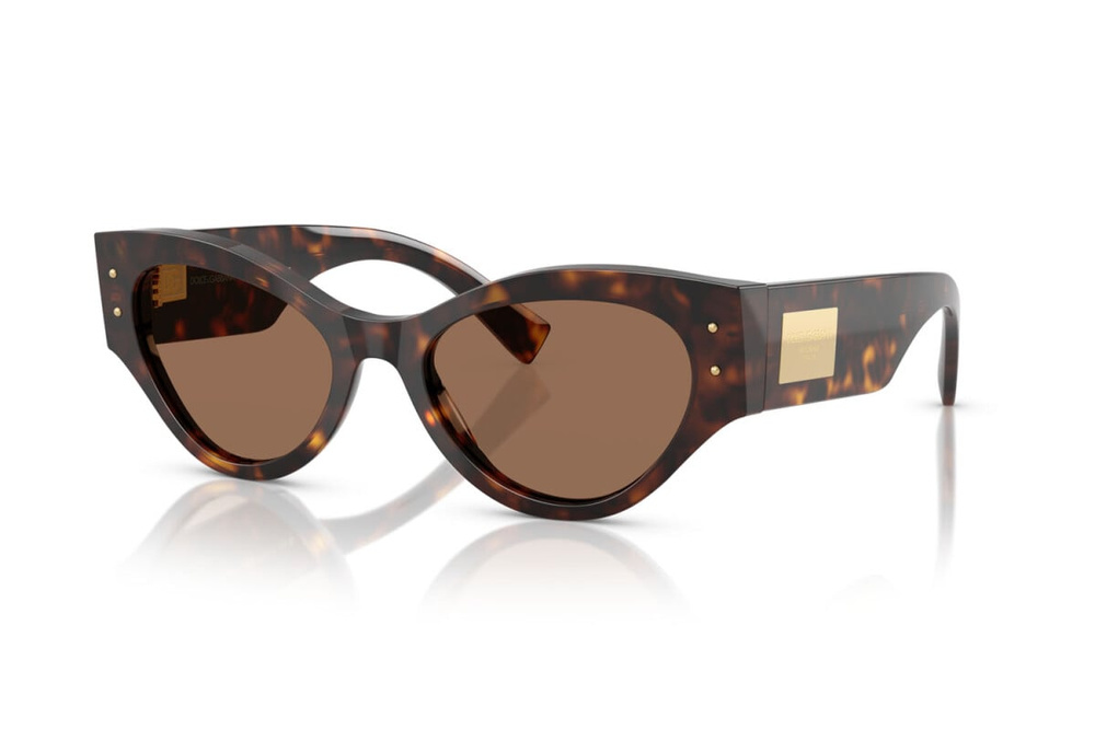 Dolce & Gabbana Sunglasses DG4480-502/73