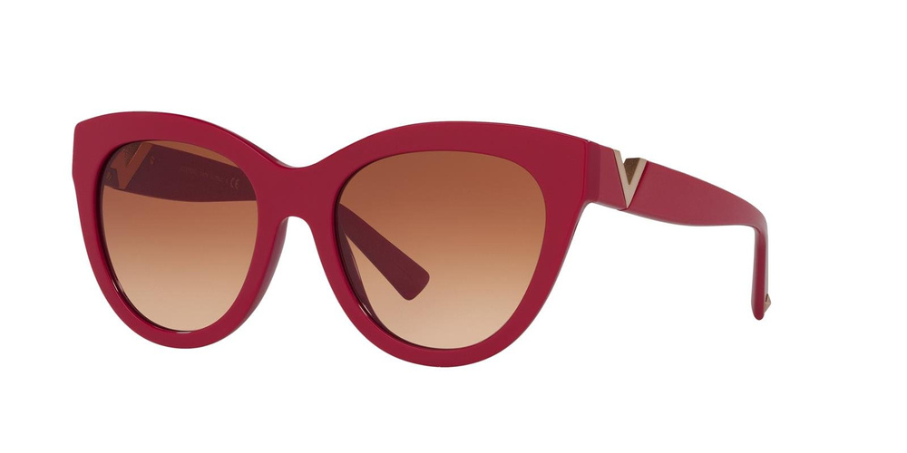 Valentino Sunglasses VA4089-511013