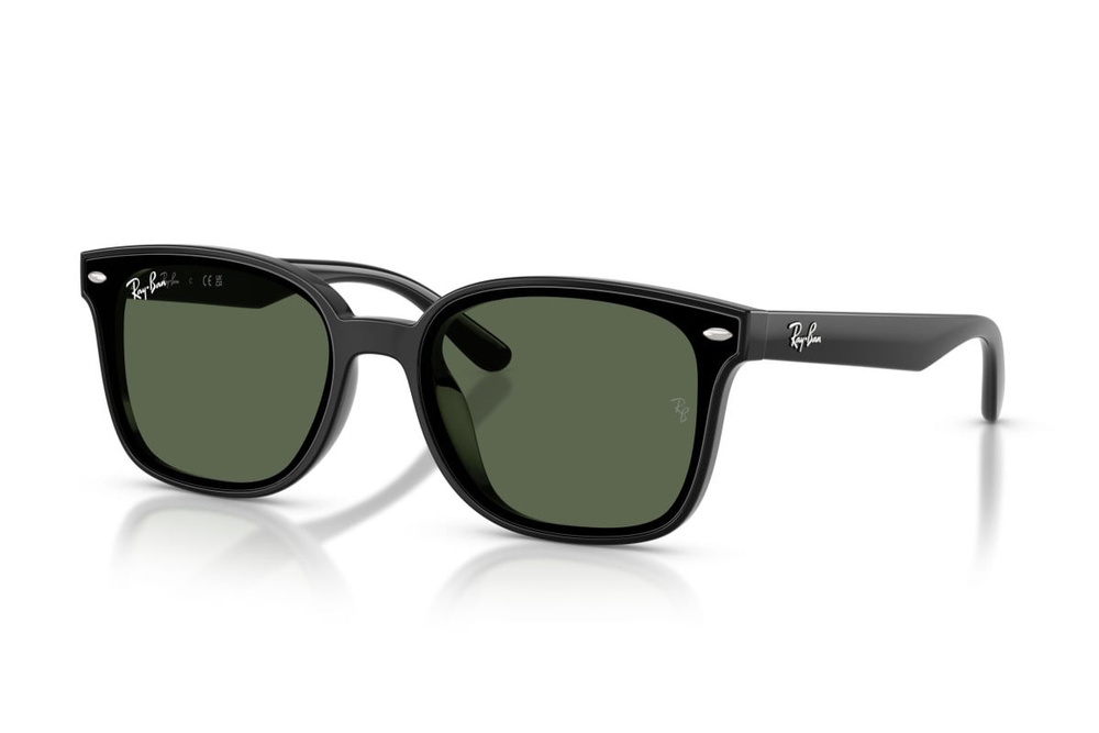 Ray-Ban Sunglasses RB4461D-601/71