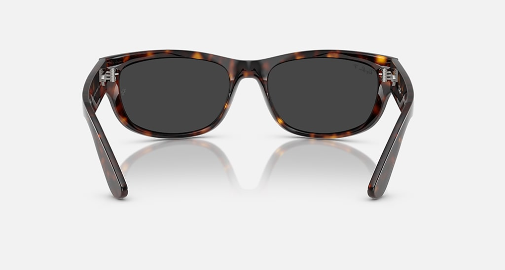 Ray-Ban Sunglasses MEGA BALORAMA RB2289-902/48