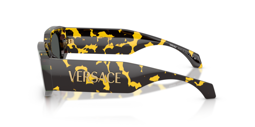 Versace Sunglasses VE4489U-552887