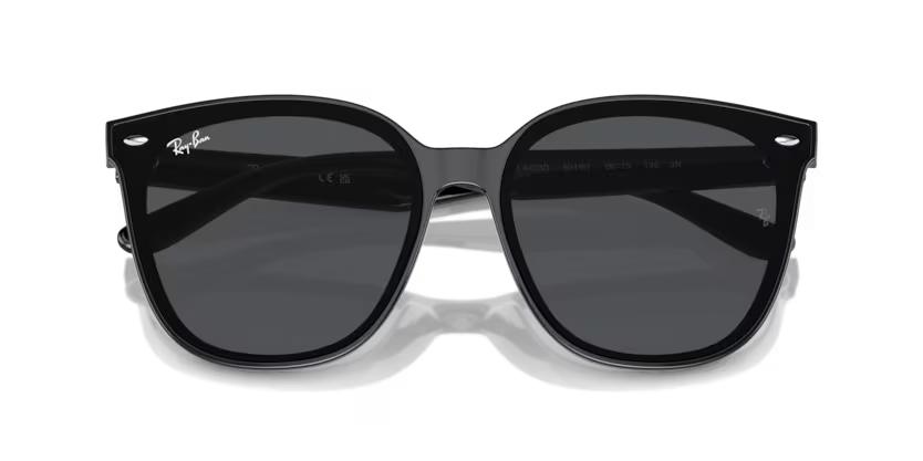 Ray-Ban Sunglasses RB4423D-601/87