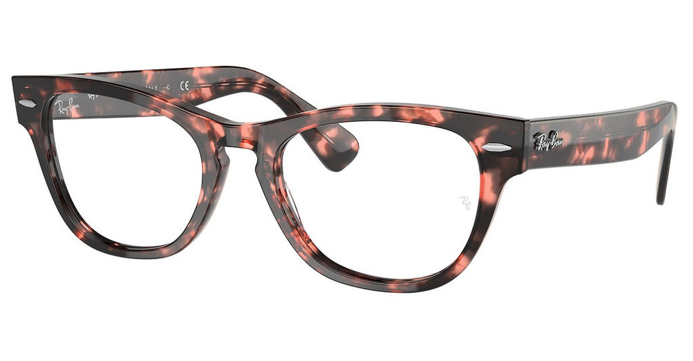 Ray-Ban Opticla frame LARAMIE RX2201V-8118