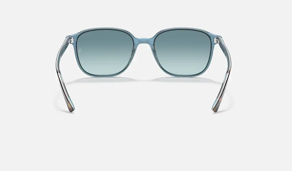 Ray-Ban Sunglasses LEONARD RB2193-13163M