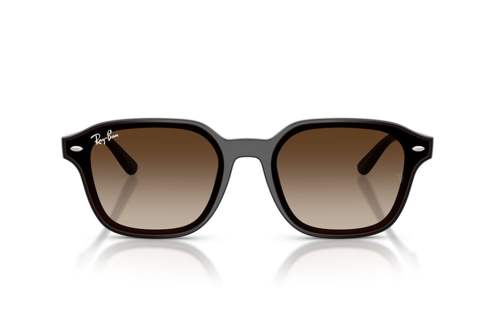 Ray-Ban Sunglasses RB4458D-714/13