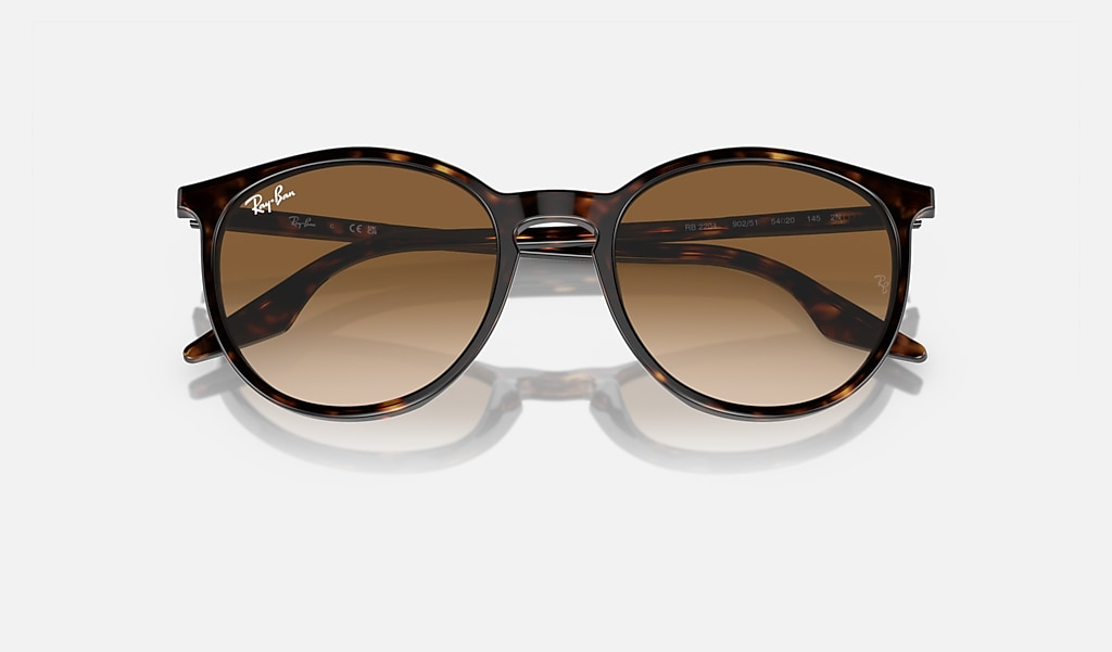 Ray-Ban Sunglasses RB2204-902/51