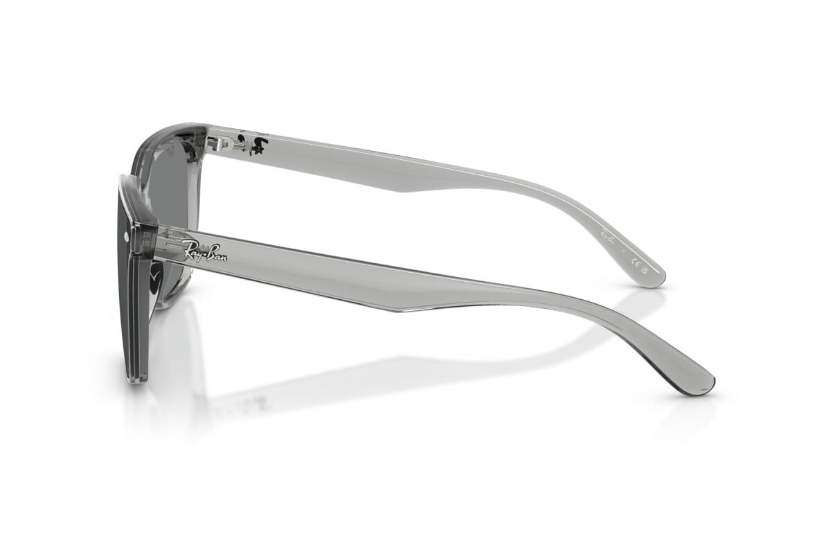 Ray-Ban Sunglasses RB4466D-645087