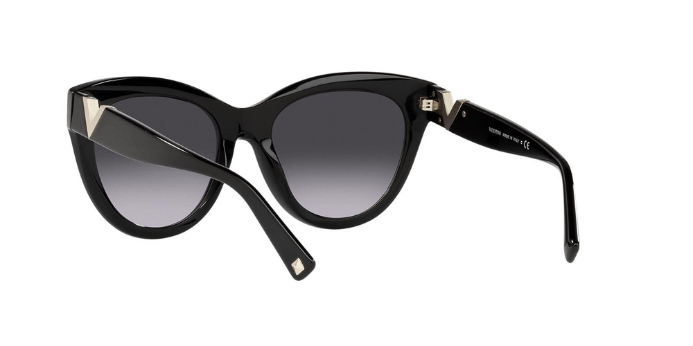 Valentino Sunglasses VA4089-50018G