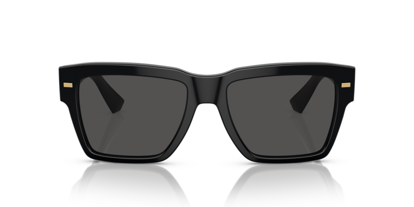 Dolce & Gabbana Sunglasses DG4431-501/87