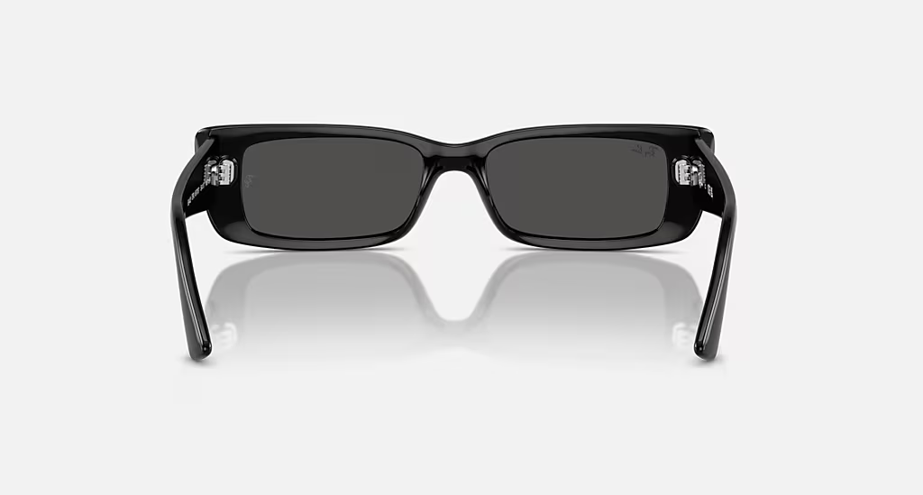 Ray-Ban Sunglasses TERU RB4425-667787