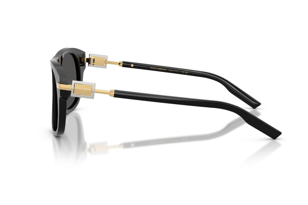 Dolce & Gabbana Sunglasses DG4546-501/87
