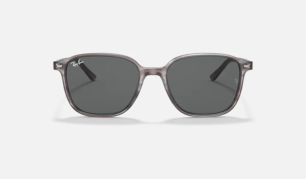 Ray-Ban Okulary przeciwsłoneczne LEONARD RB2193-1314B1