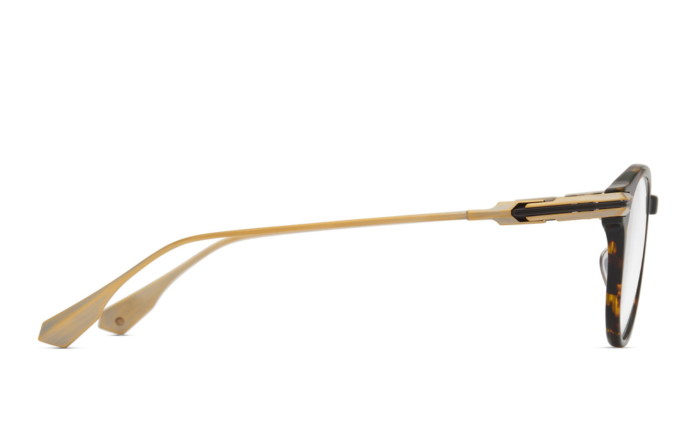 Dita Okulary korekcyjne ASHIUM DTX485-A-02