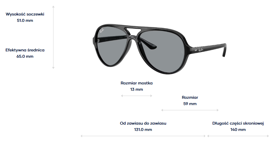 Ray-Ban Sunglasses CATS 5000 RB4125-601/R5