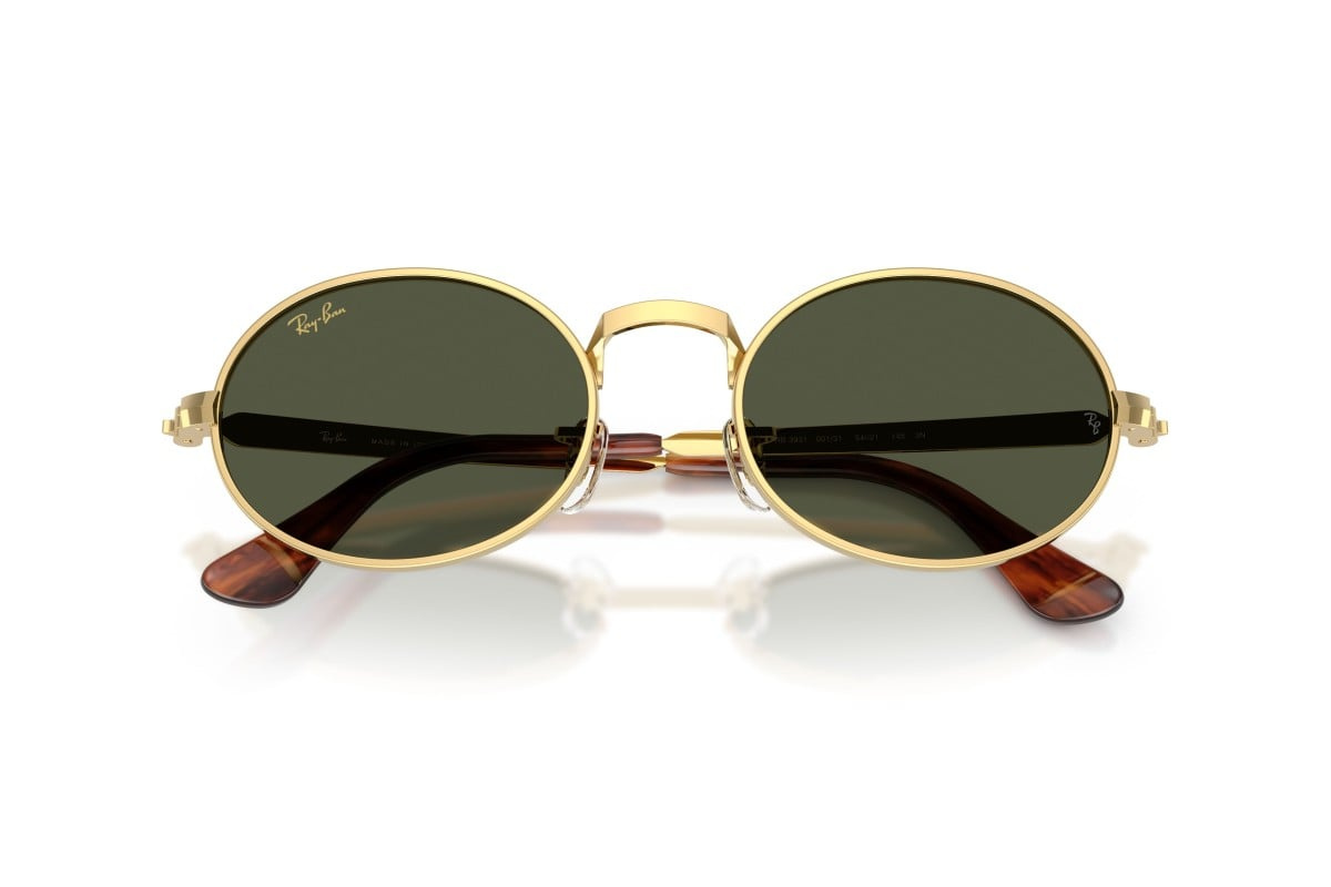 Ray-Ban Sunglasses RB3931-001/31