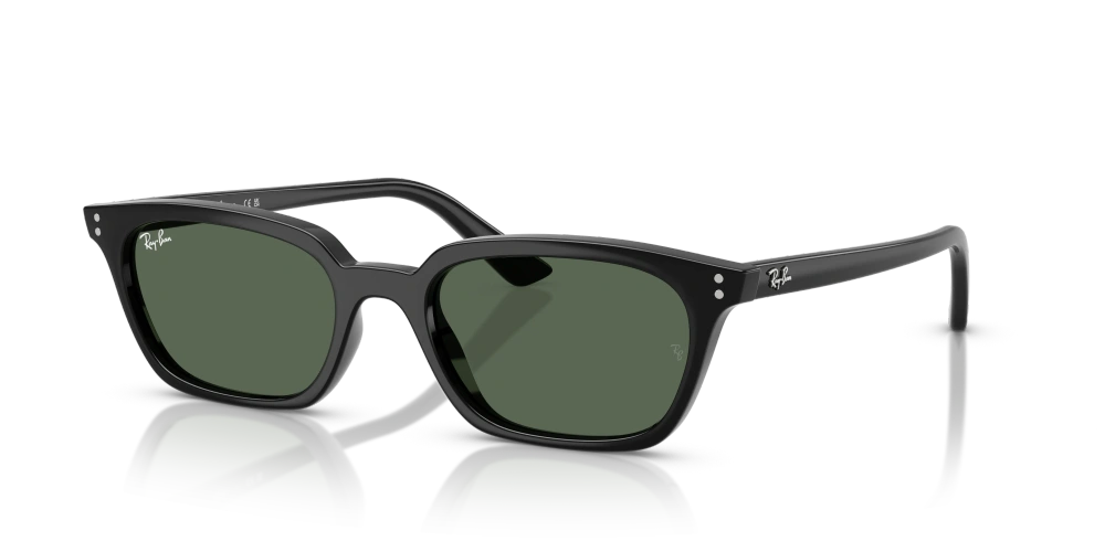 Ray-Ban Okulary przeciwsłoneczne ZAYA RB4456-667771