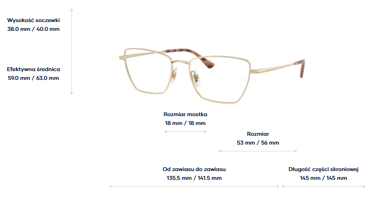 Ray-Ban Optical frame RX6552-2993