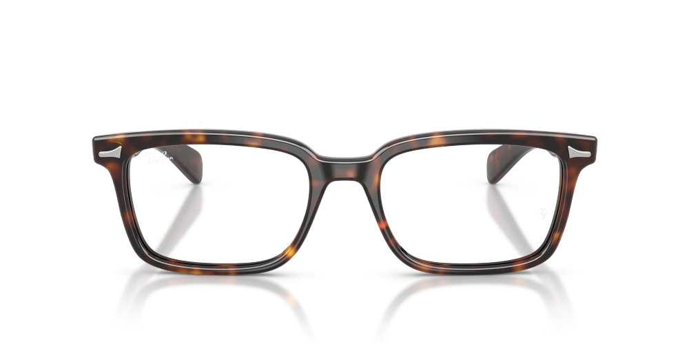 Ray-Ban Okulary korekcyjne BRUNEL RX5534-2012