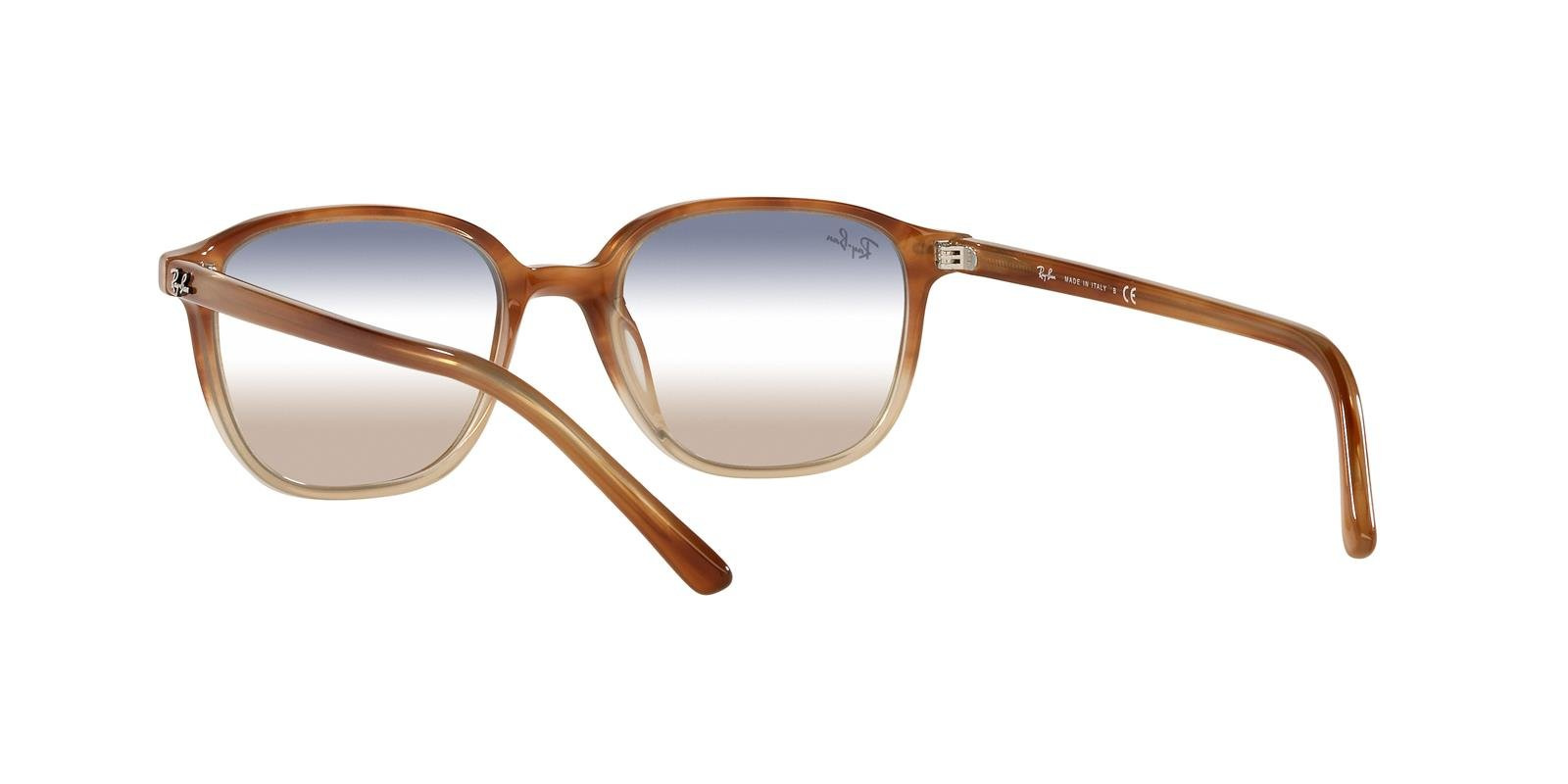 Ray-Ban Sunglasses LEONARD RB2193-1328GD