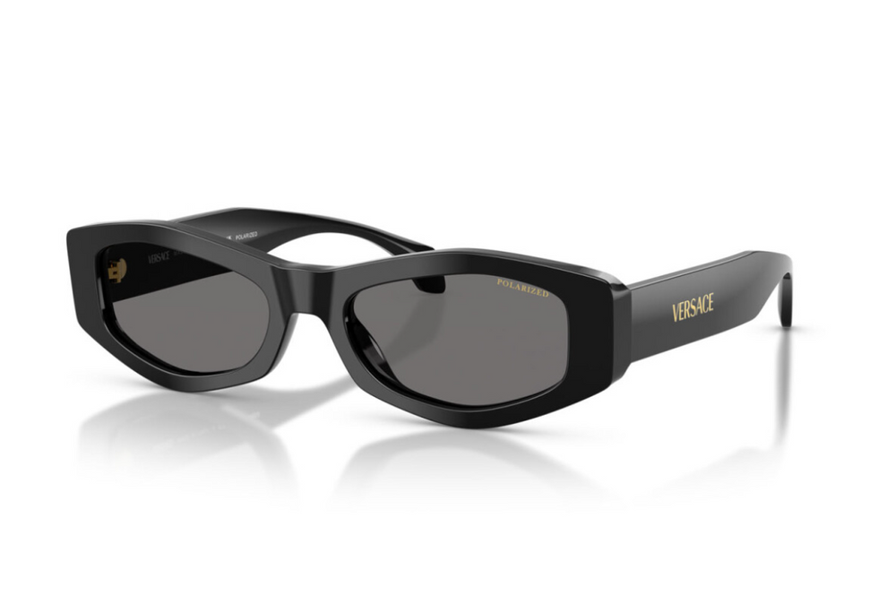 Versace Sunglasses VE4487-GB1/81