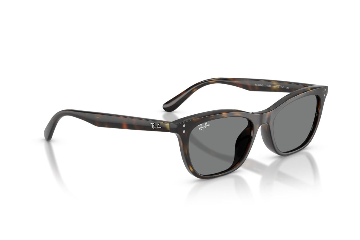 Ray-Ban Sunglasses RB4474D-710/87