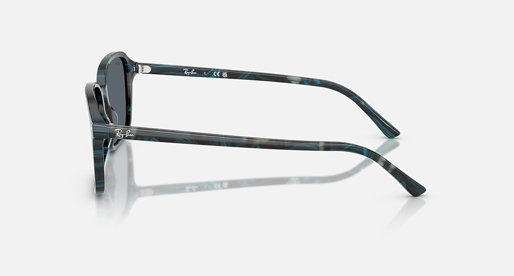 Ray-Ban Sunglasses RAIMOND RB2231-1417R5