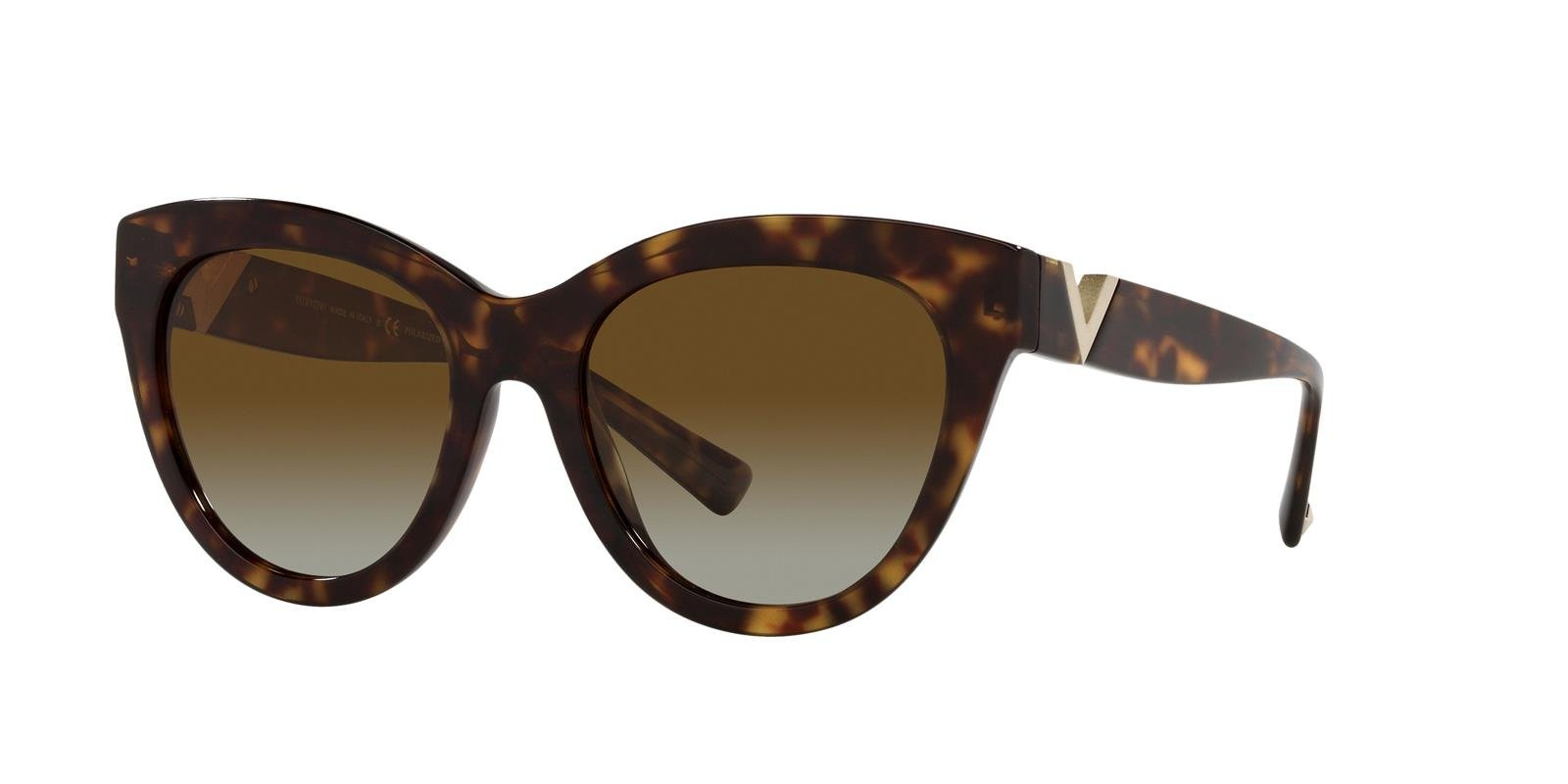Valentino Sunglasses VA4089-5002T5