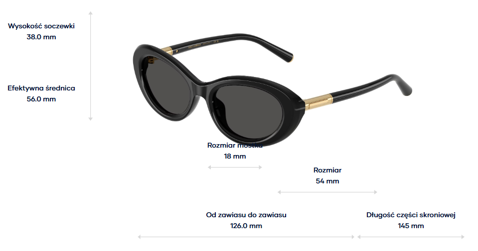 Dolce & Gabbana Sunglasses DG4519-501/87