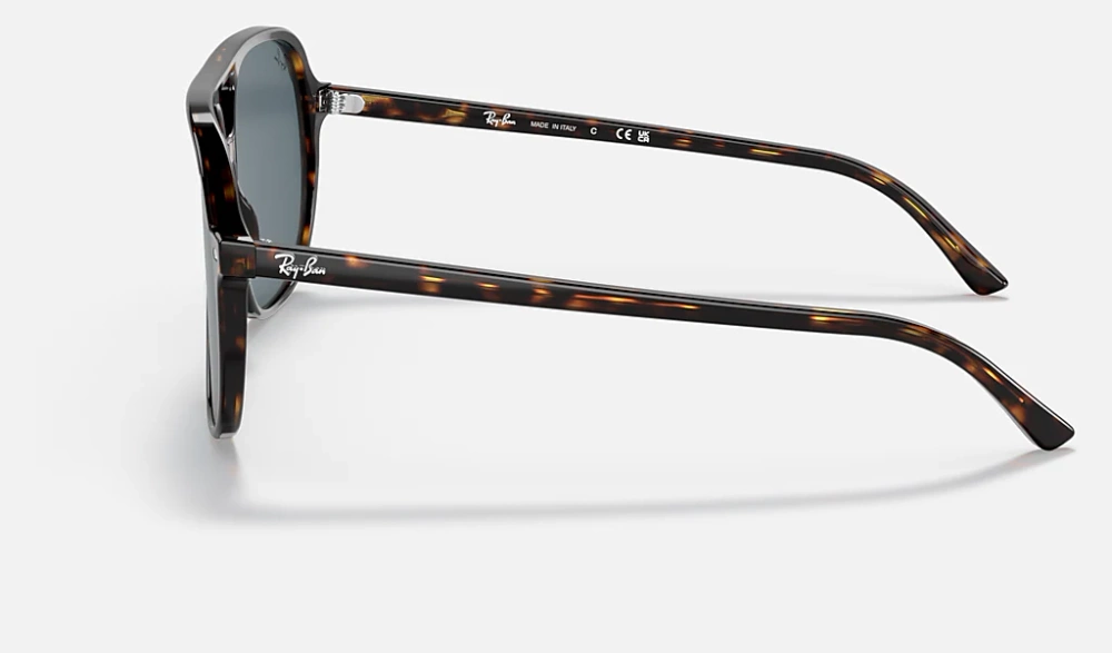 Ray-Ban Sunglasses Bill RB2198-902/R5