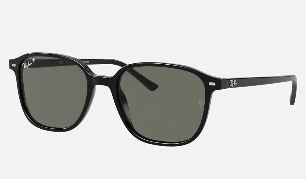 Ray-Ban Sunglasses LEONARD RB2193-901/58